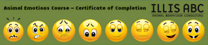 Gitte Lassen Animal Emotions course certificeret