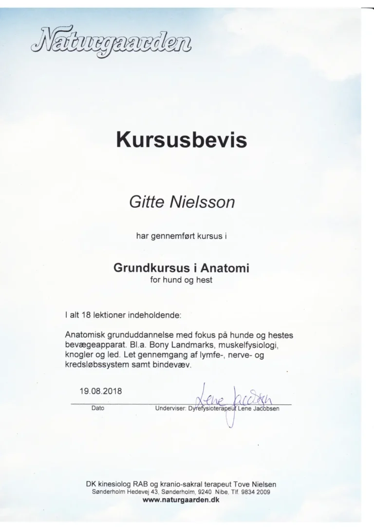 Kursuscertifikat Gitte Lassen