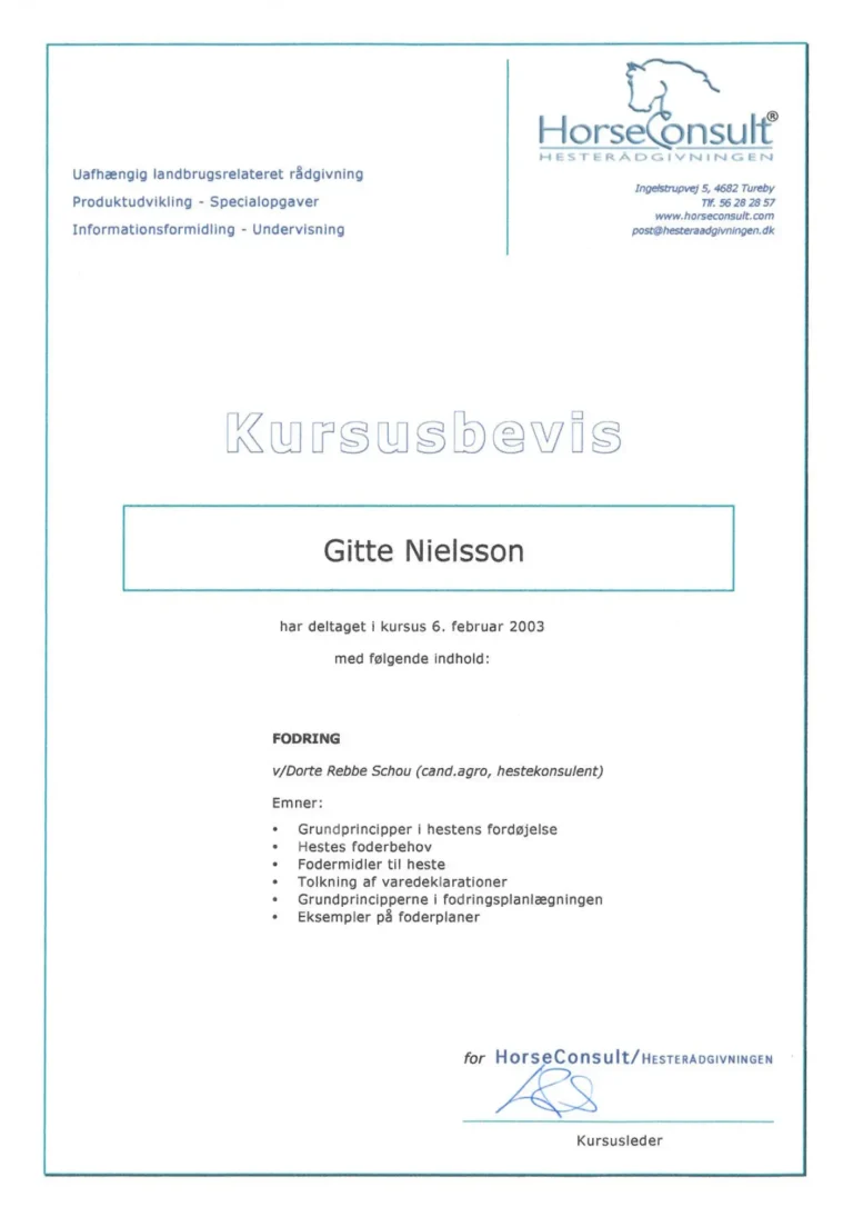 Kursuscertifikat Gitte Lassen