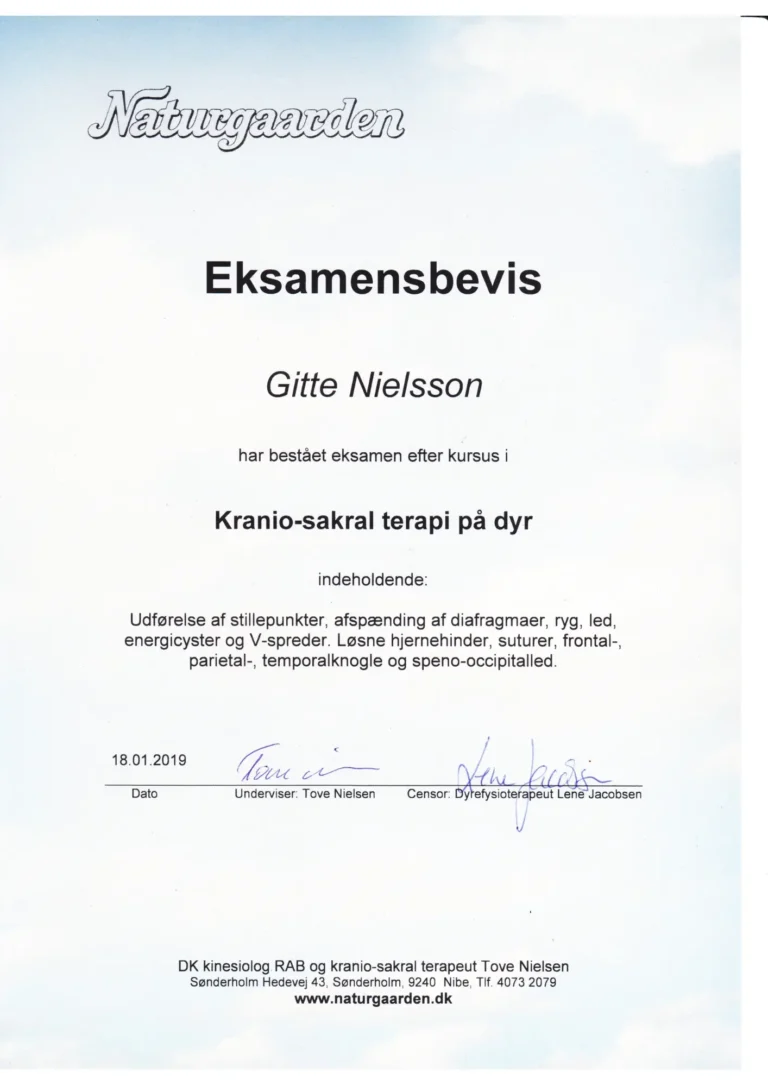 Kursuscertifikat Gitte Lassen