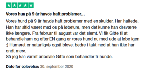 Anbefaling af Gitte Lassen efter healing af hund