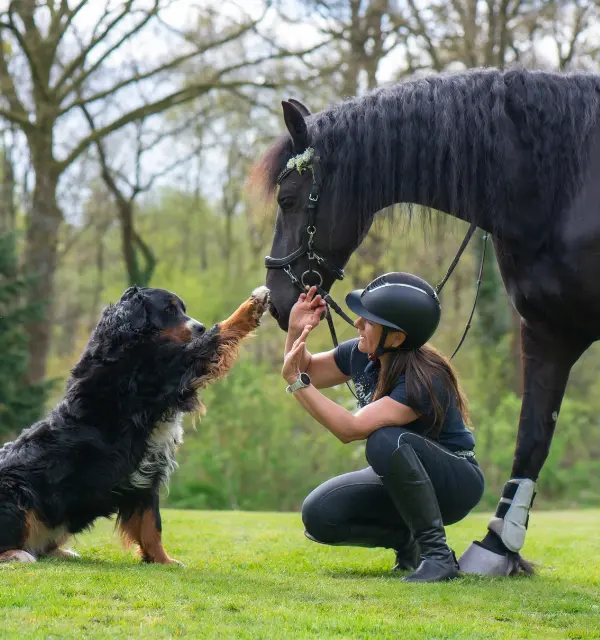 kvinde har en god relation til hund og hest