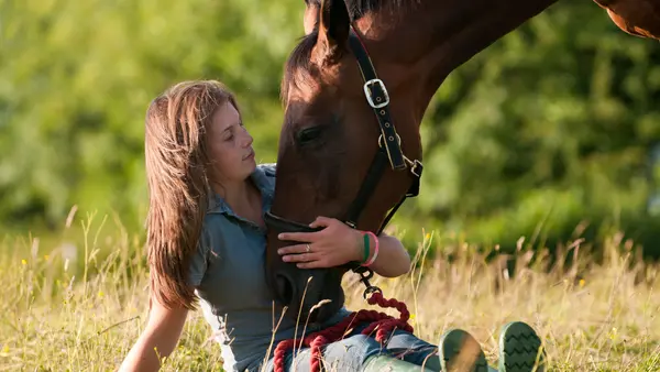 Tryghed opstår i kontakt og nærvær mellem mennesker og dyr – Blogindlæg af Gitte Lassen